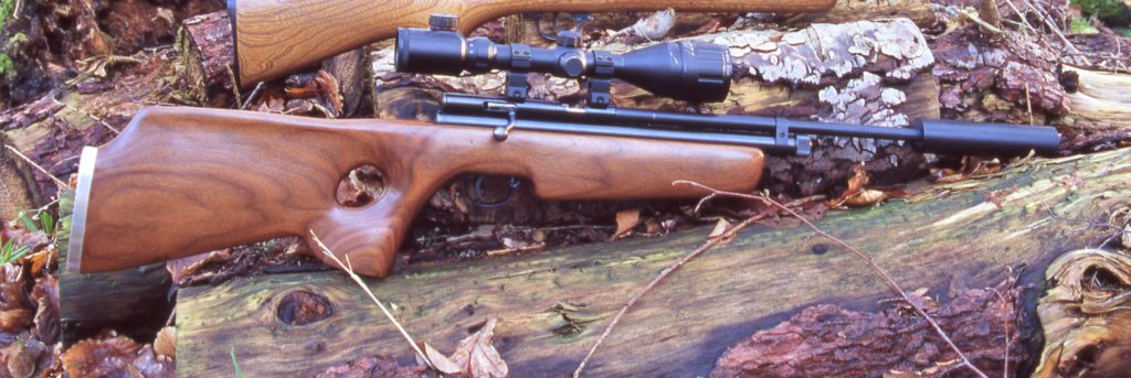. 25 calibre guns XS78 Custom 