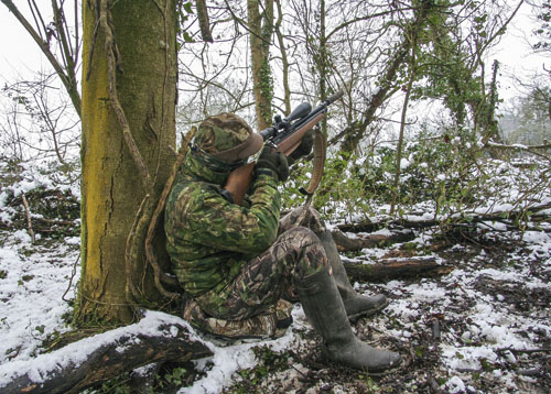 Well-protected against the cold, Mat sets his sights on the treetops